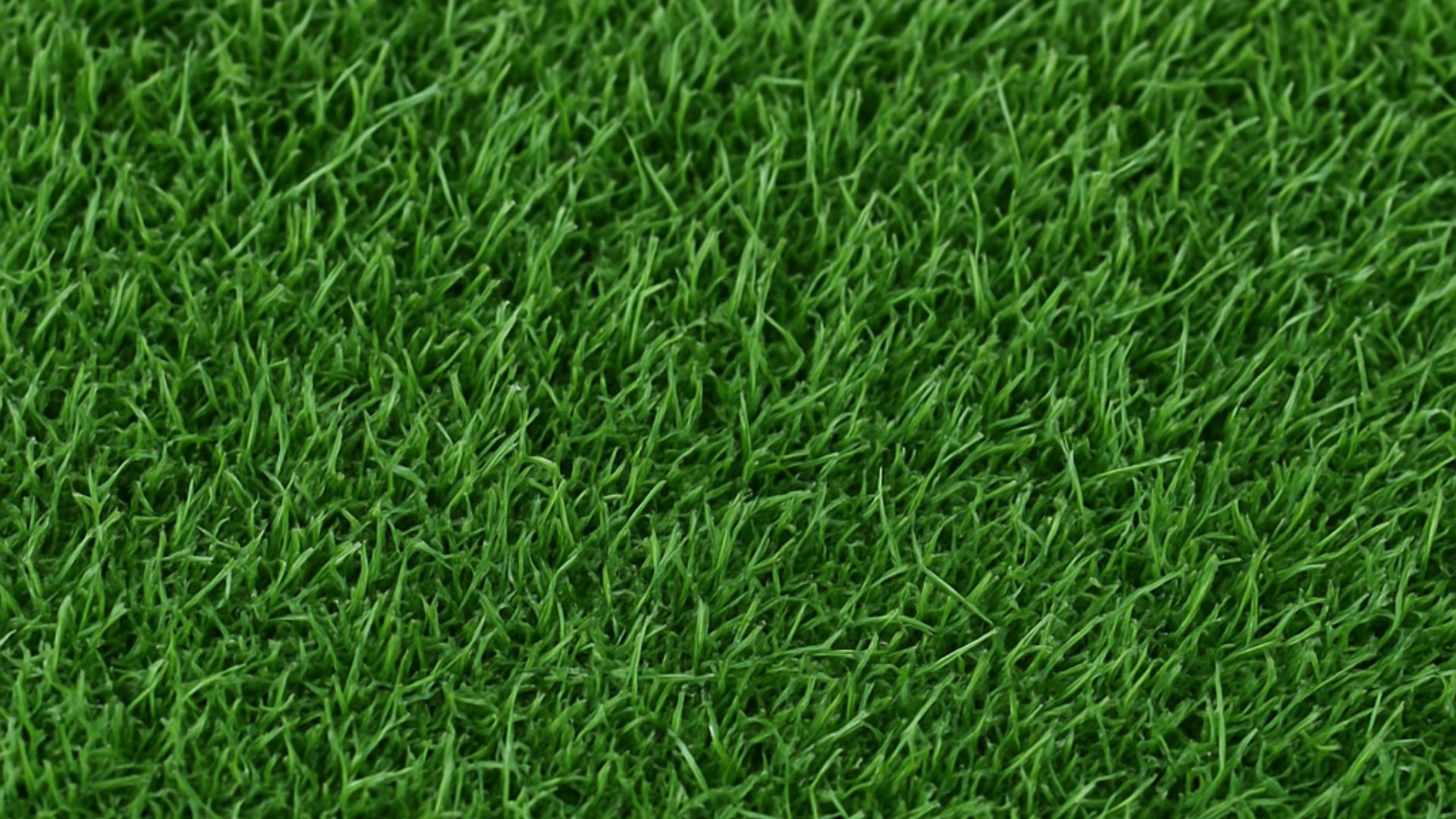 artificial grass for homes Nigeria